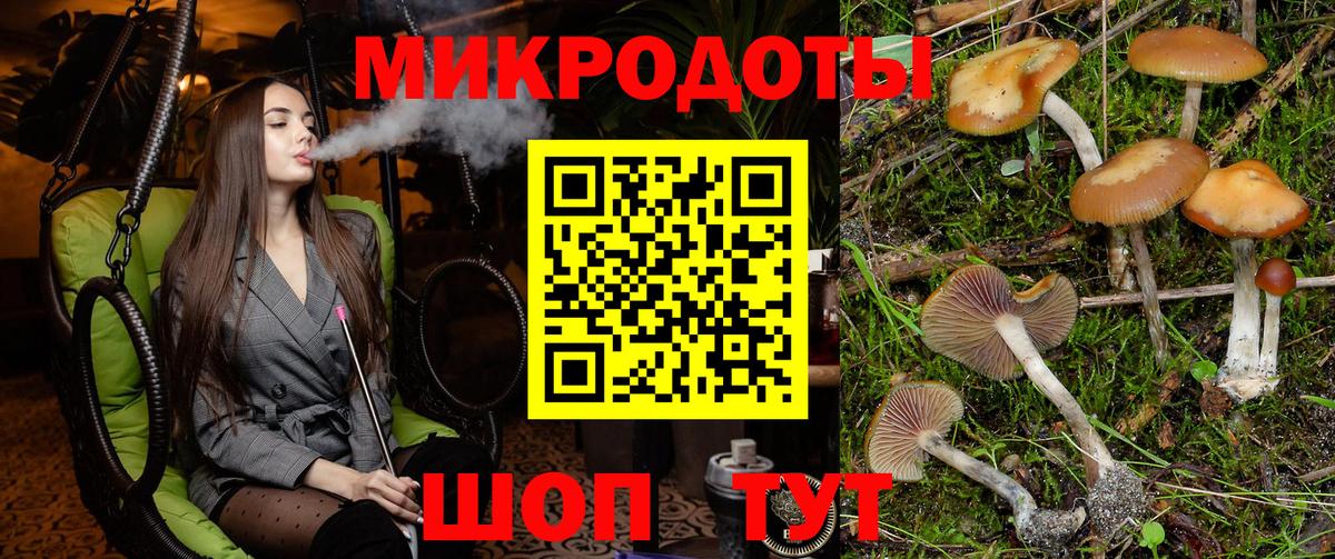 Псилоцибиновые грибы MAGIC MUSHROOMS Реж
