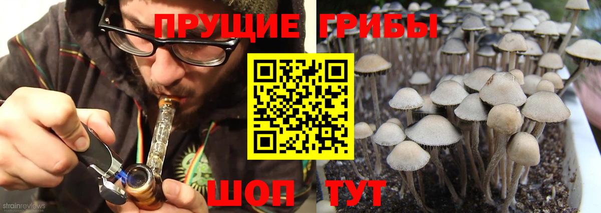 Галлюциногенные грибы MAGIC MUSHROOMS  Вход с VPN  Реж 